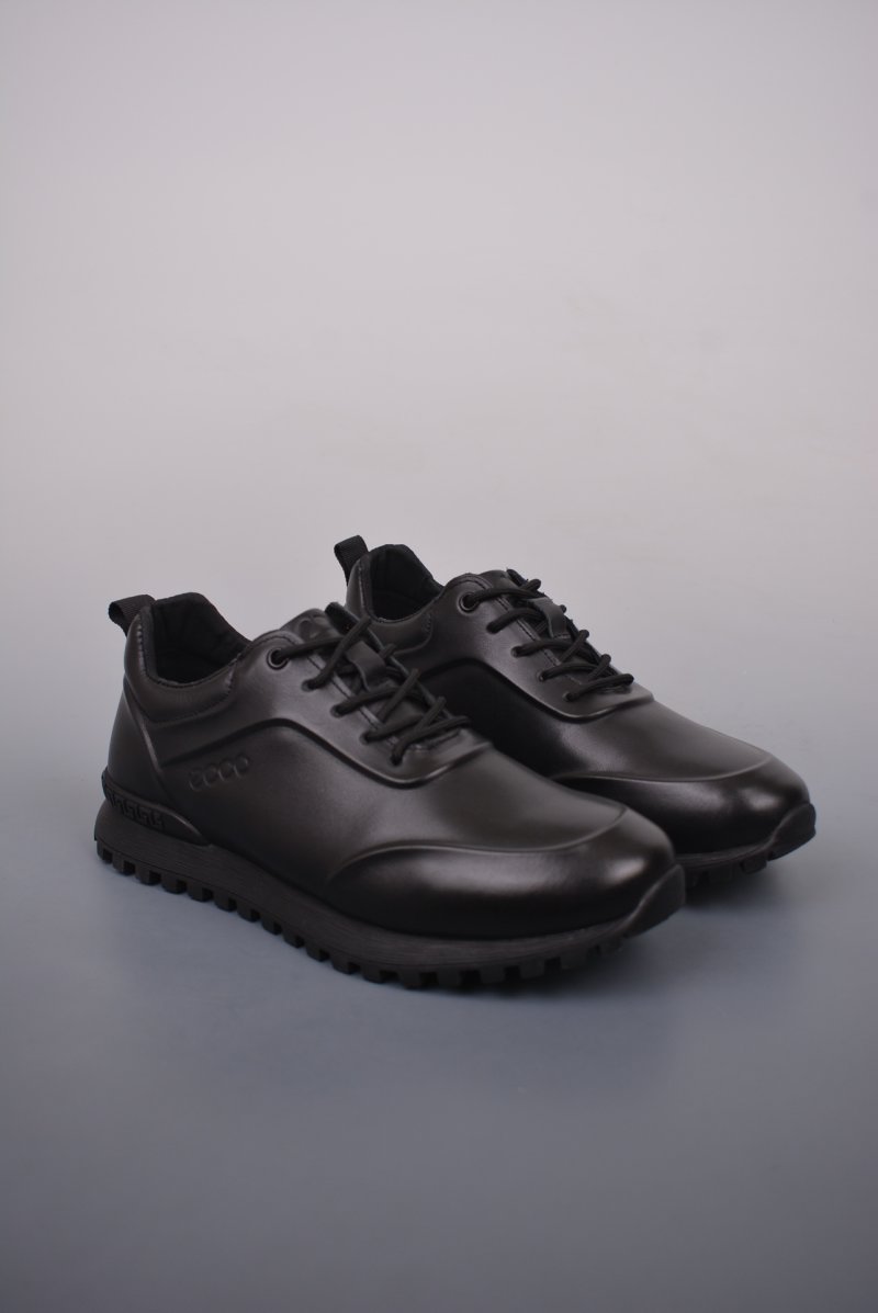 ECCO Biom C view