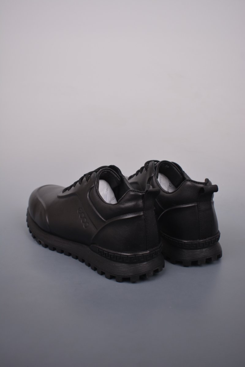 ECCO Biom C view