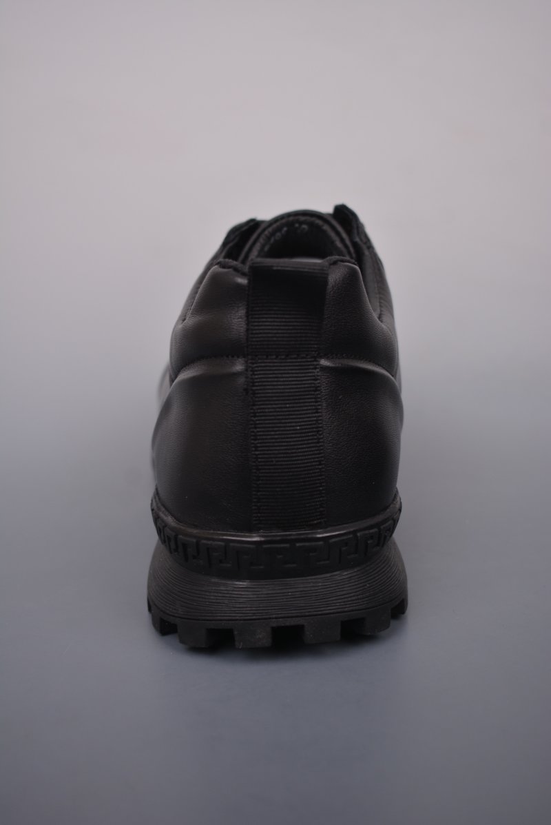 ECCO Biom C view
