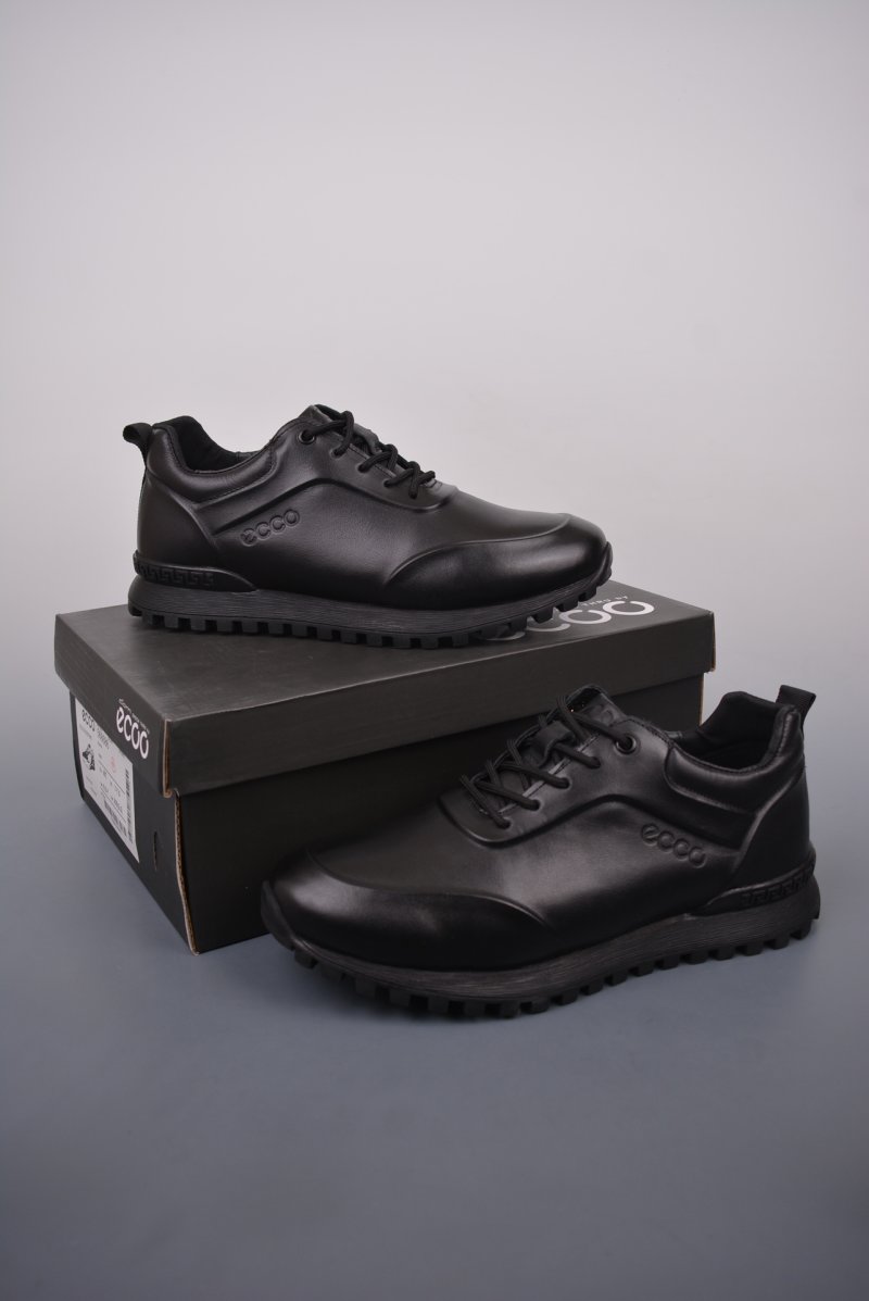ECCO Biom C view