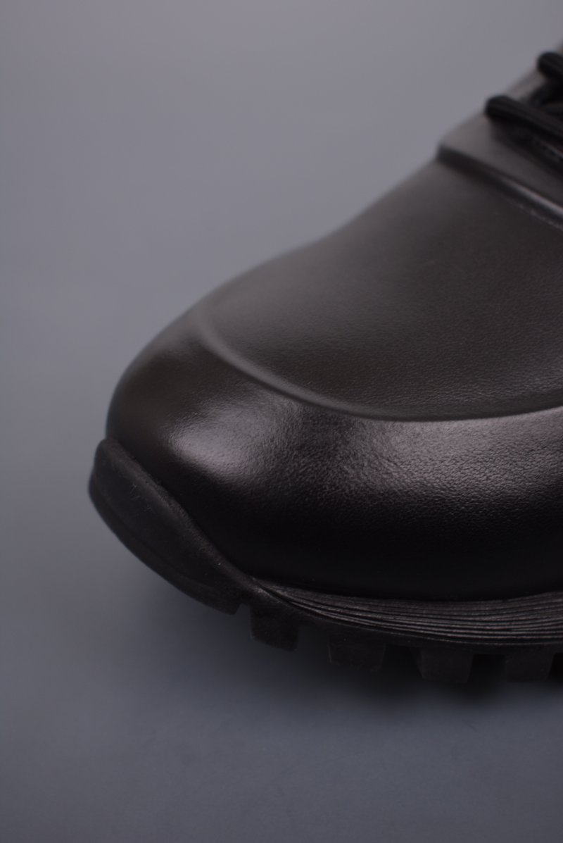 ECCO Biom C view