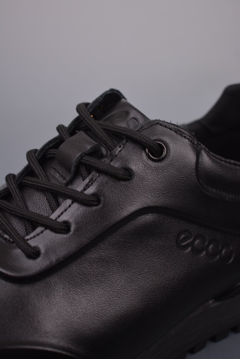 ECCO Biom C view