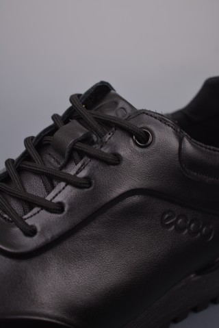 ECCO Biom C view 16