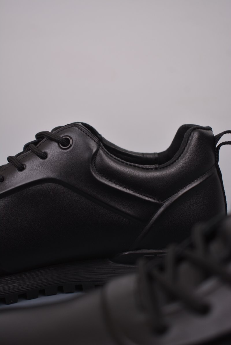 ECCO Biom C view