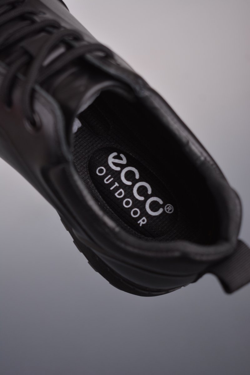 ECCO Biom C view