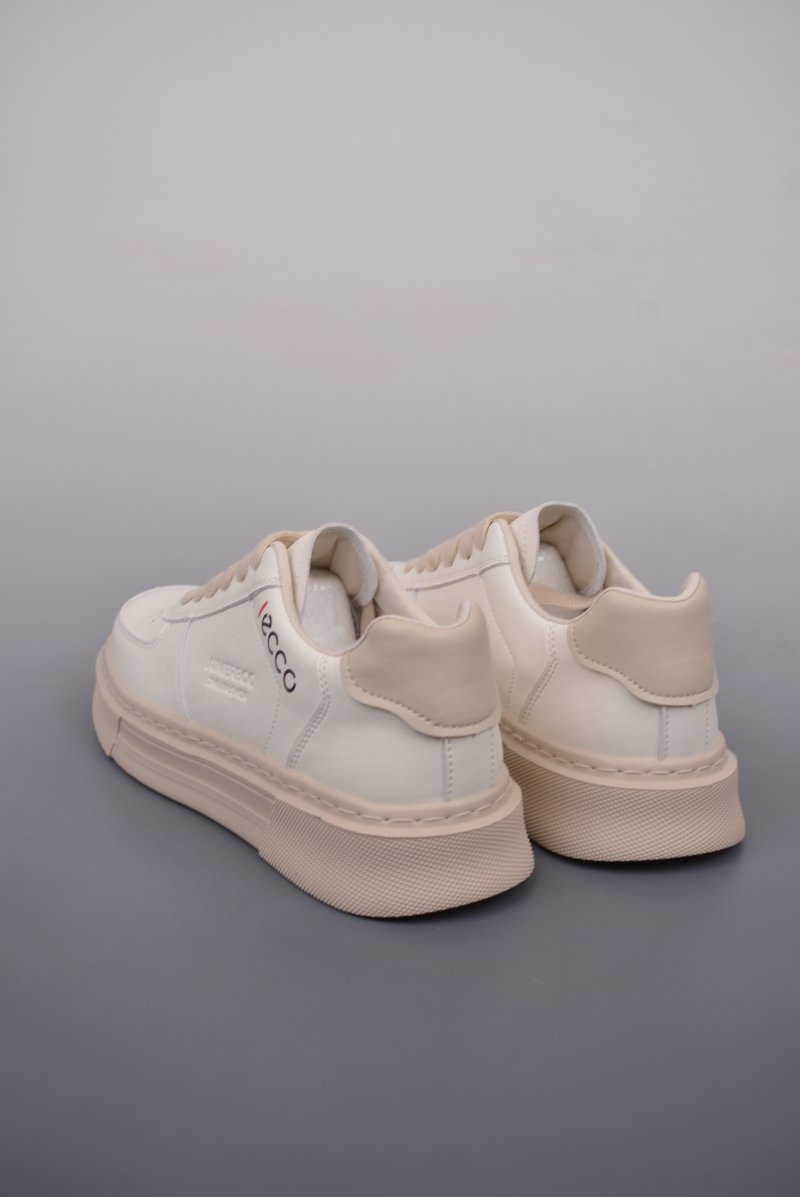 ECCO Biom C view