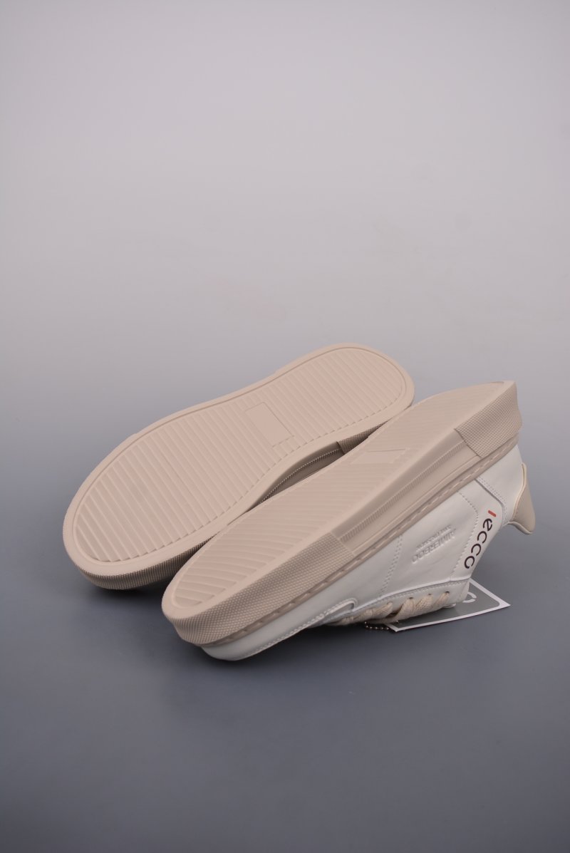 ECCO Biom C view