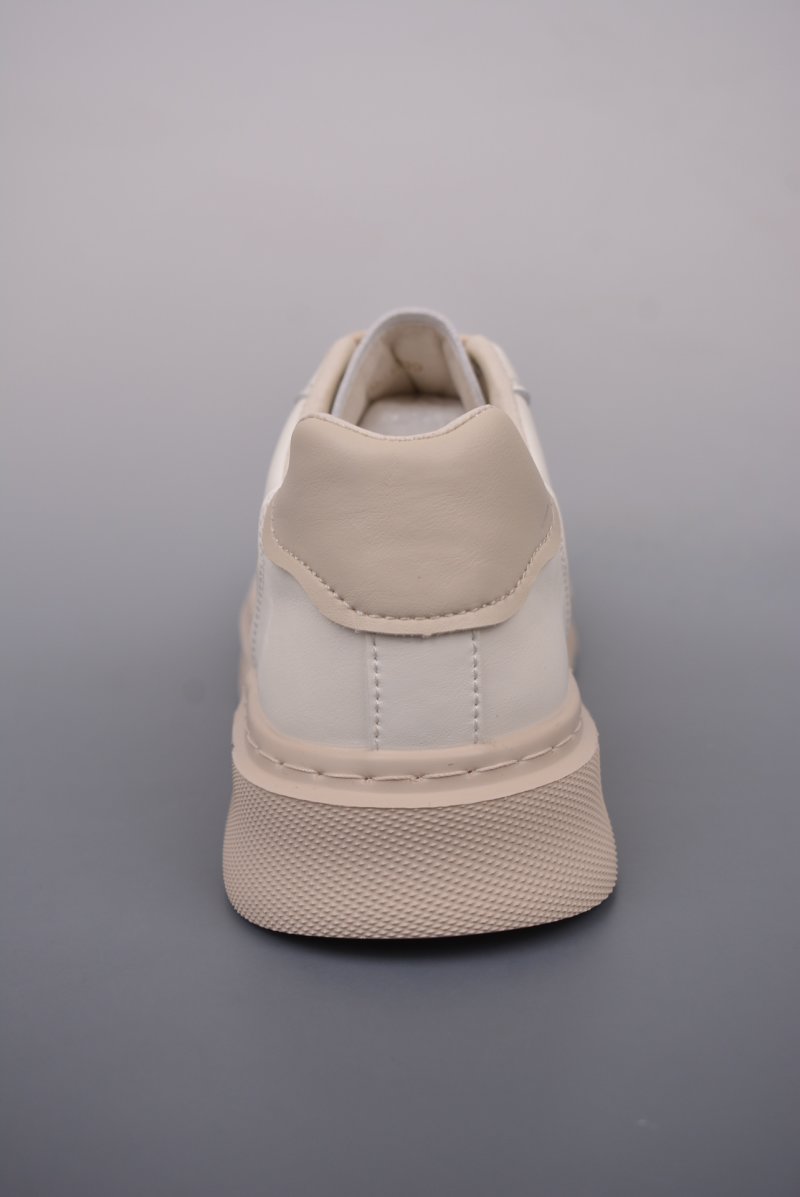 ECCO Biom C view