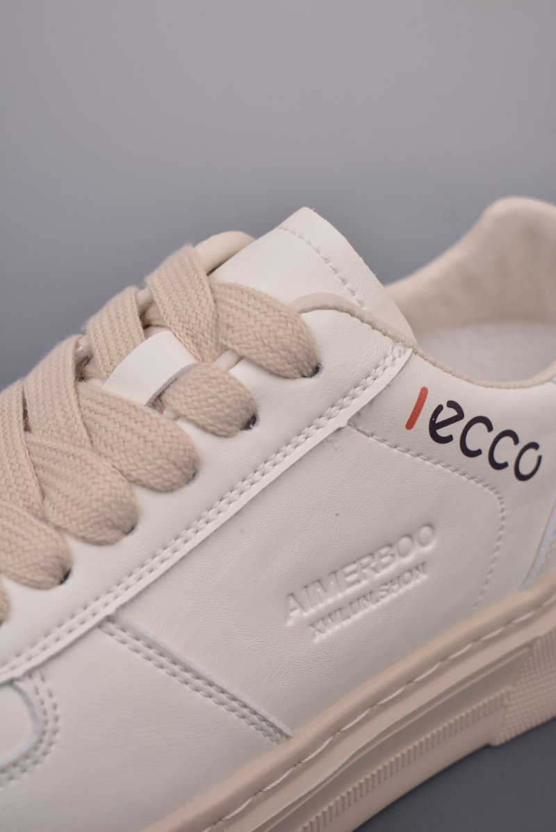 ECCO Biom C view