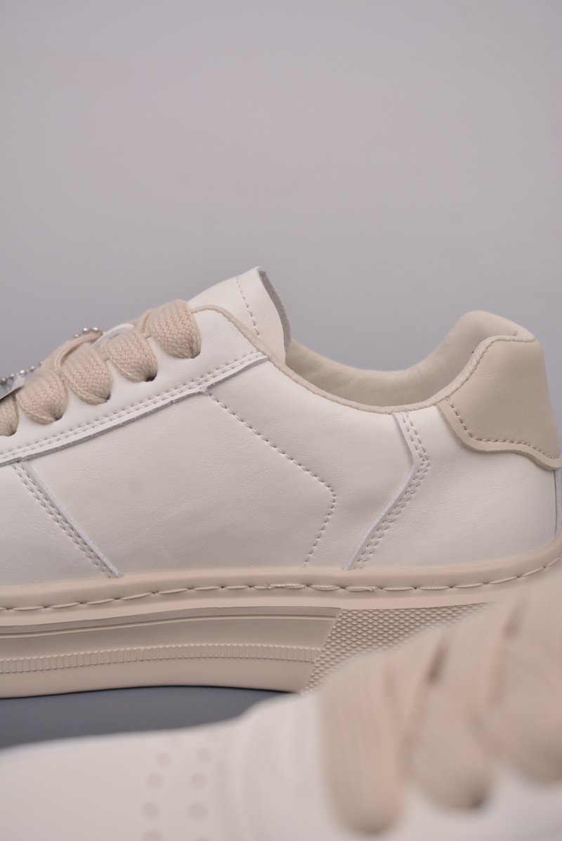 ECCO Biom C view