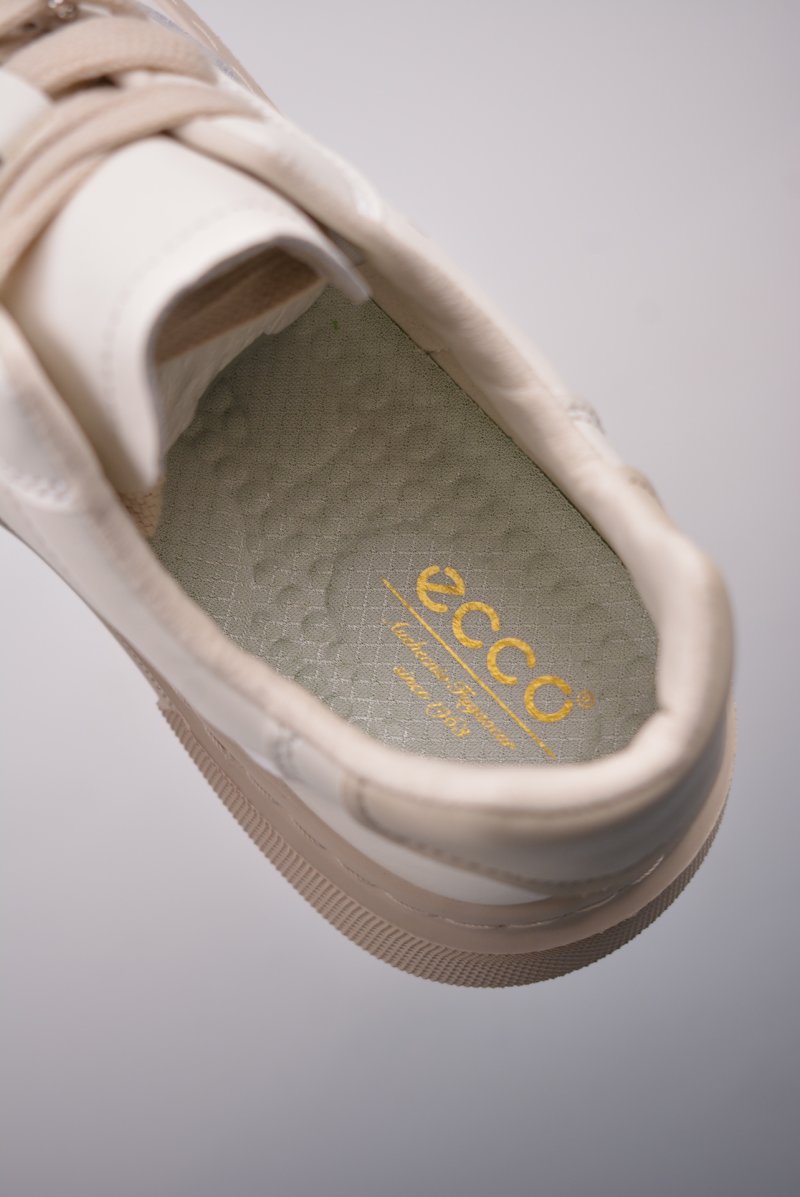 ECCO Biom C view