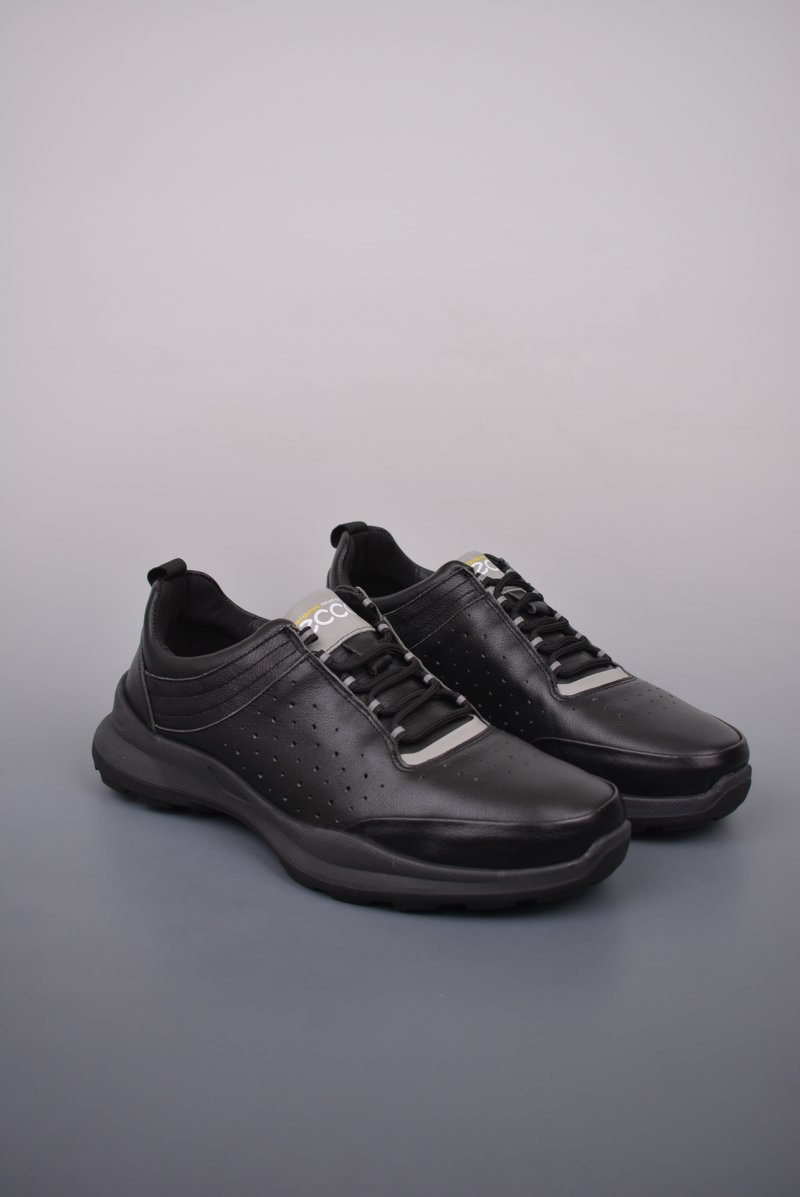ECCO Biom C