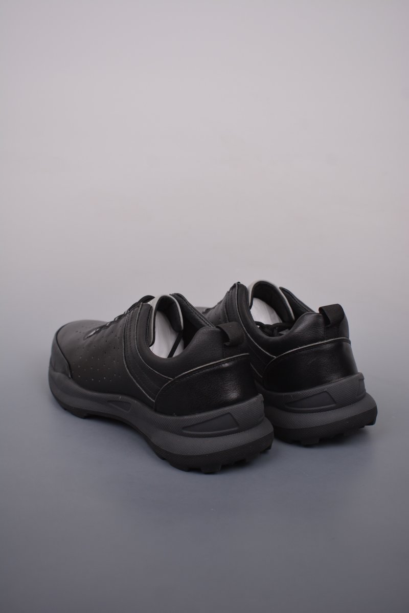 ECCO Biom C view