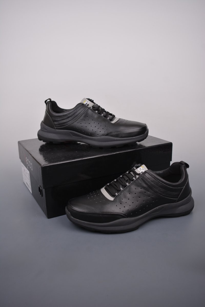 ECCO Biom C view