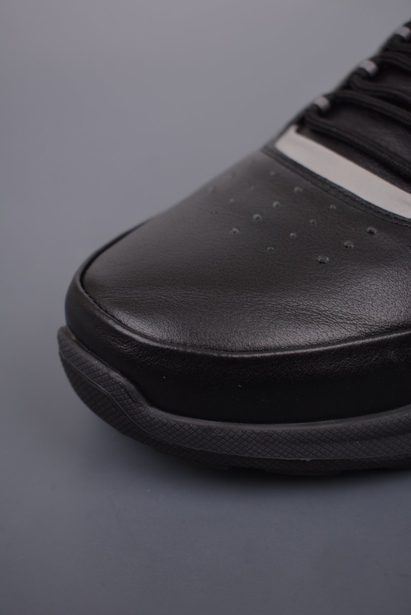 ECCO Biom C view
