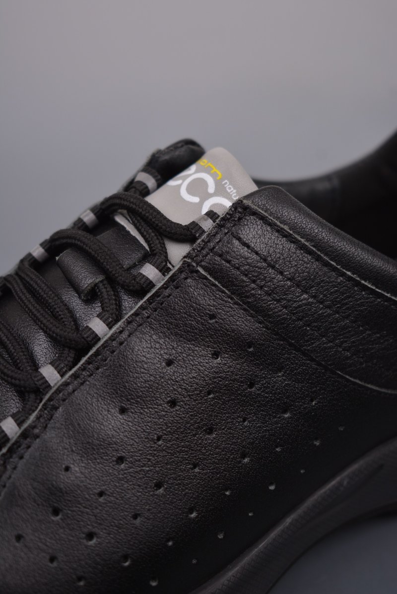 ECCO Biom C view
