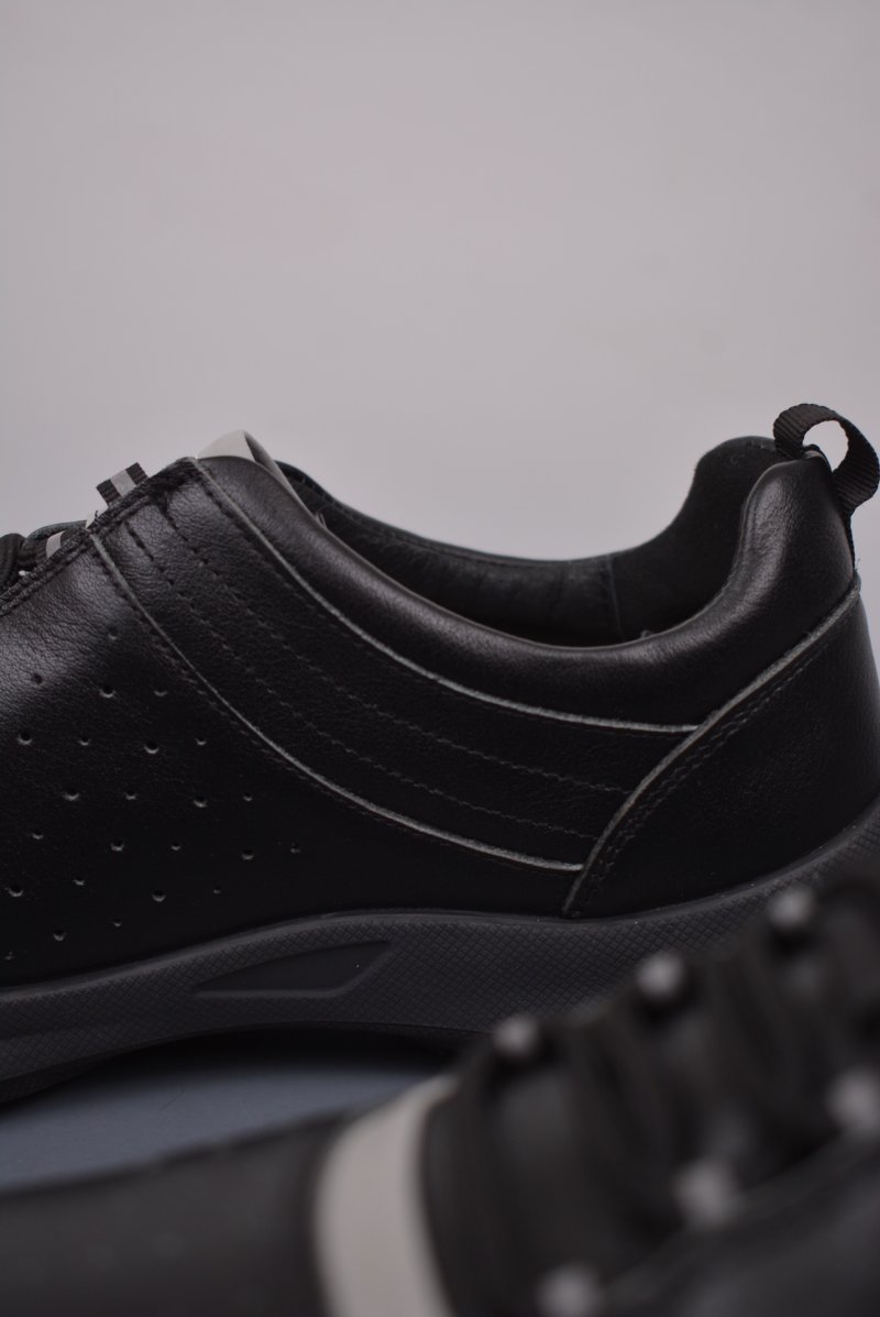 ECCO Biom C view