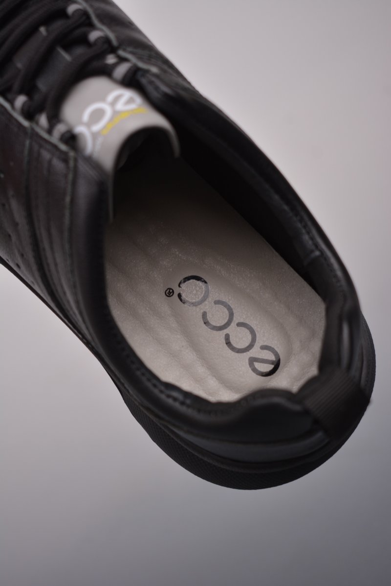 ECCO Biom C view