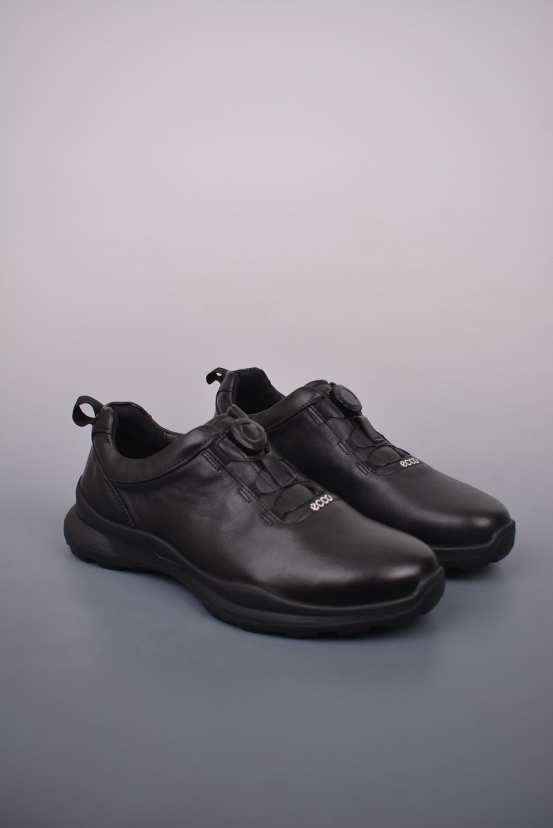 ECCO Biom C