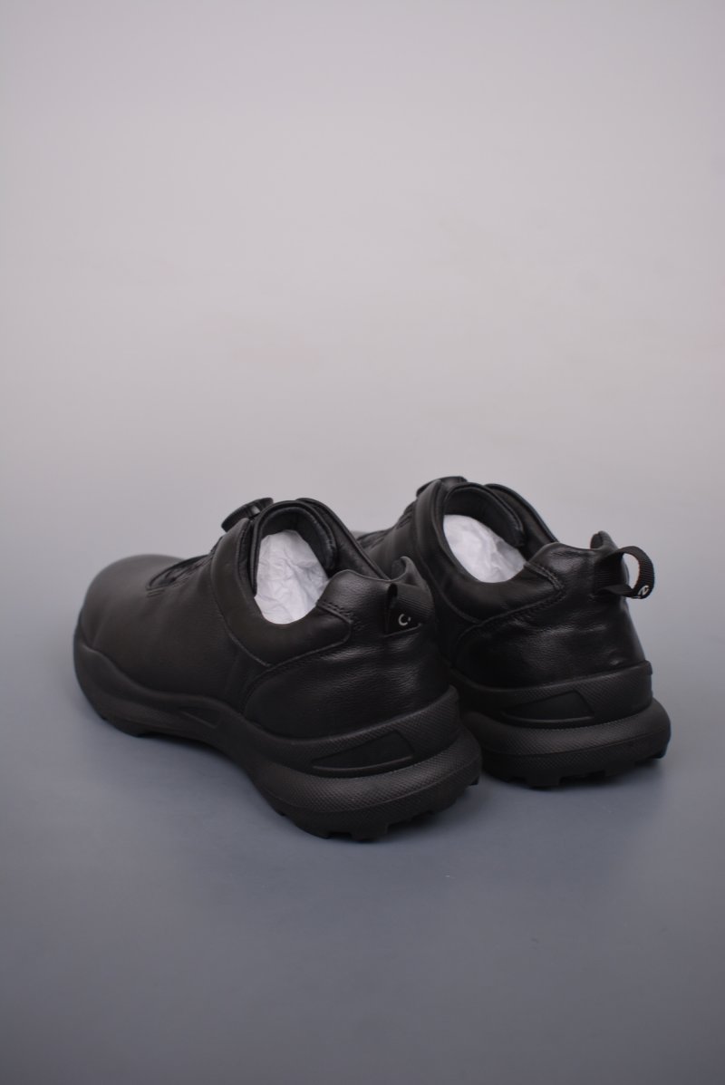 ECCO Biom C view