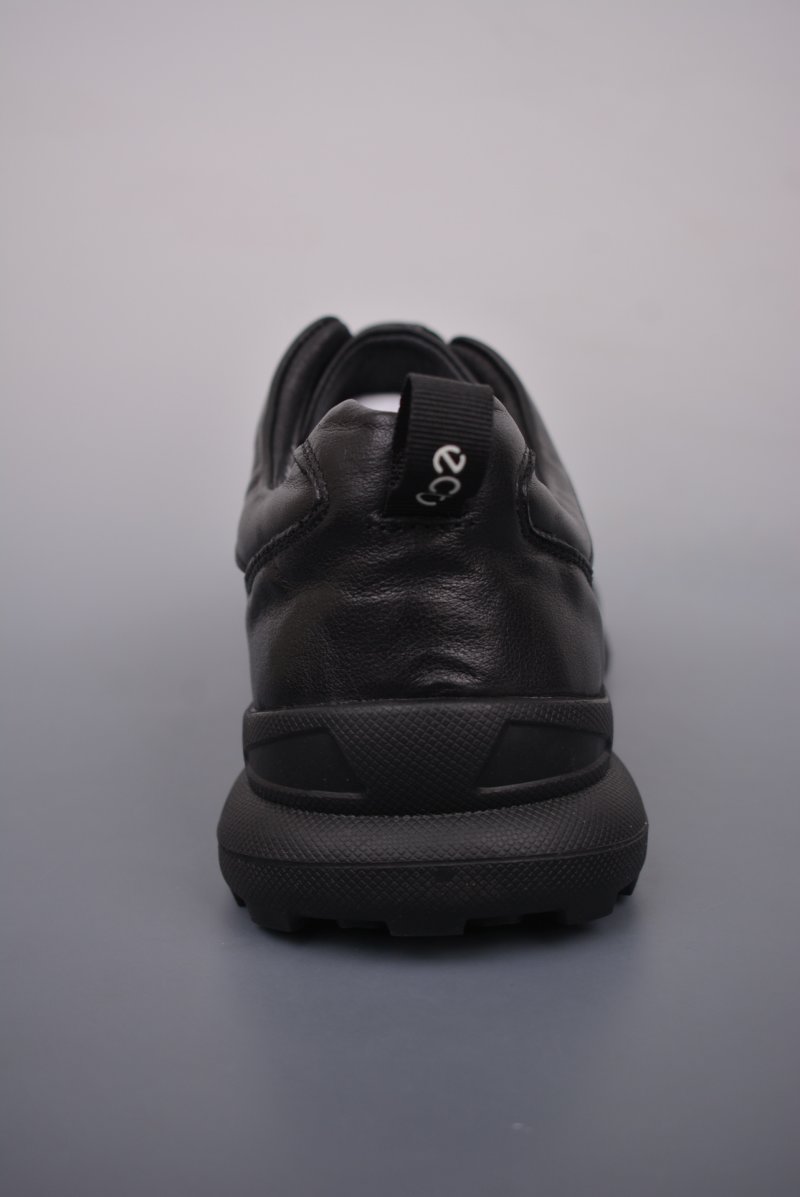 ECCO Biom C view