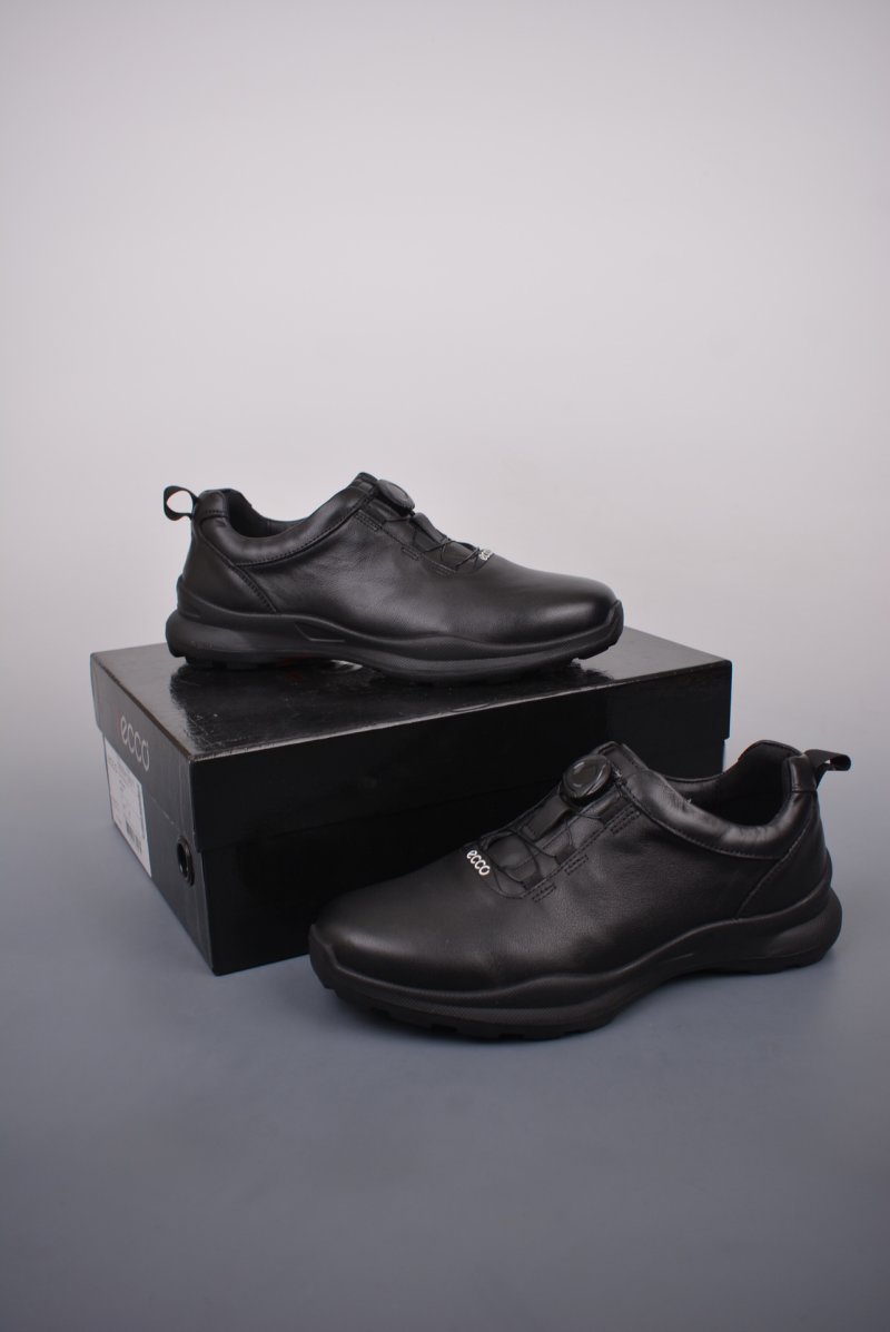ECCO Biom C view