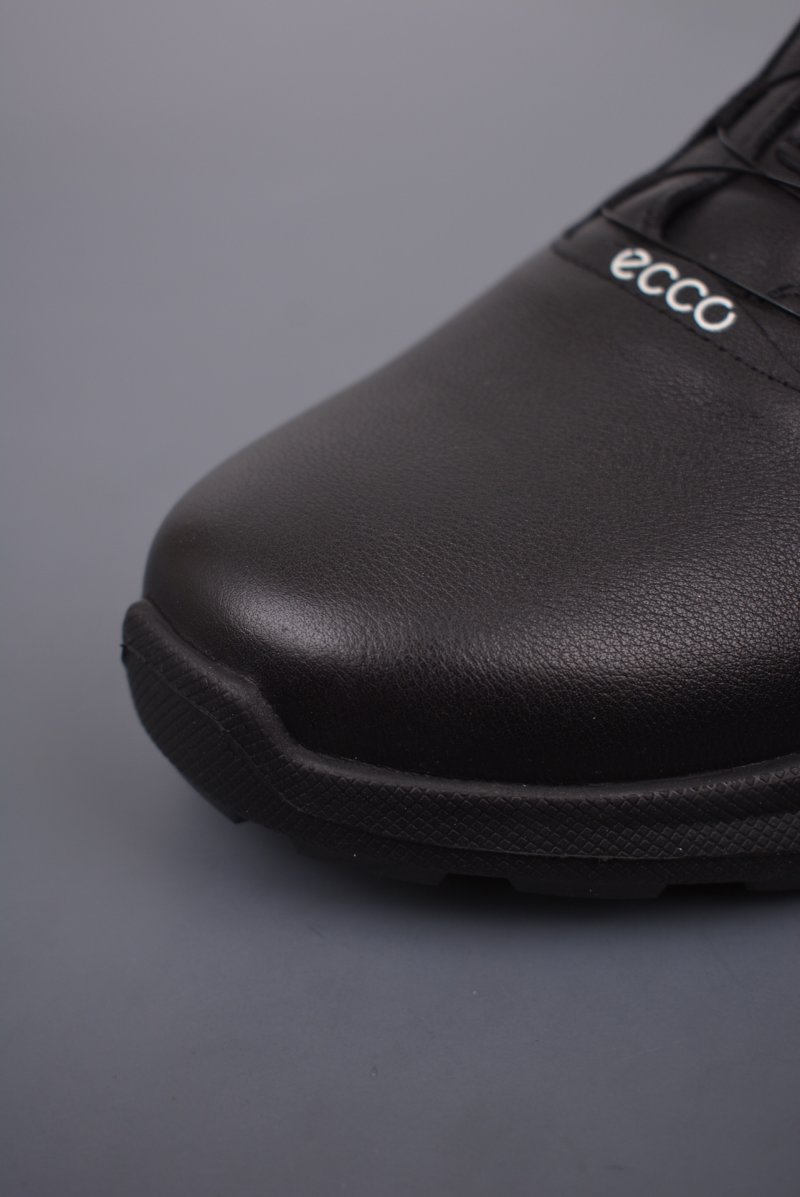 ECCO Biom C view
