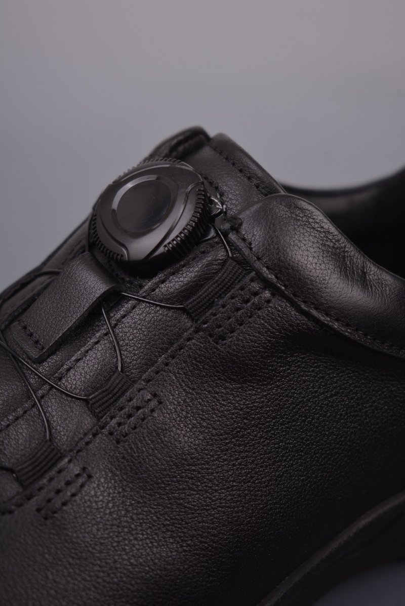 ECCO Biom C view