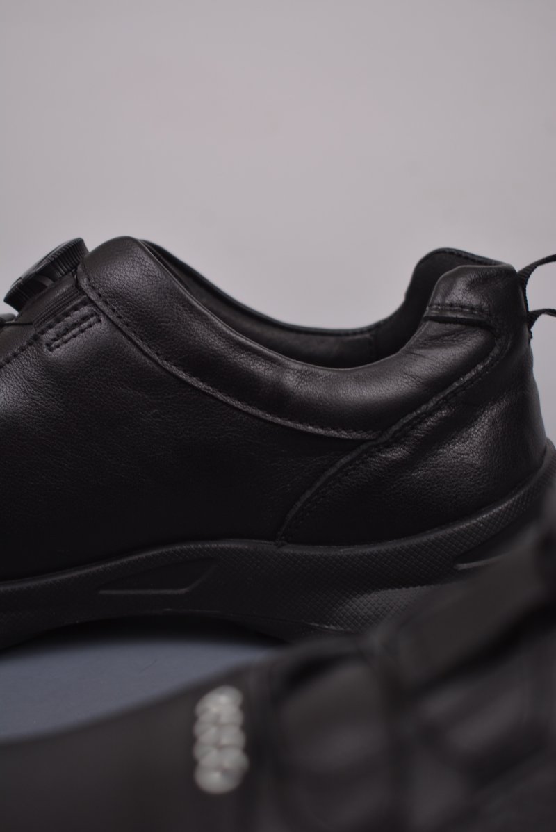 ECCO Biom C view