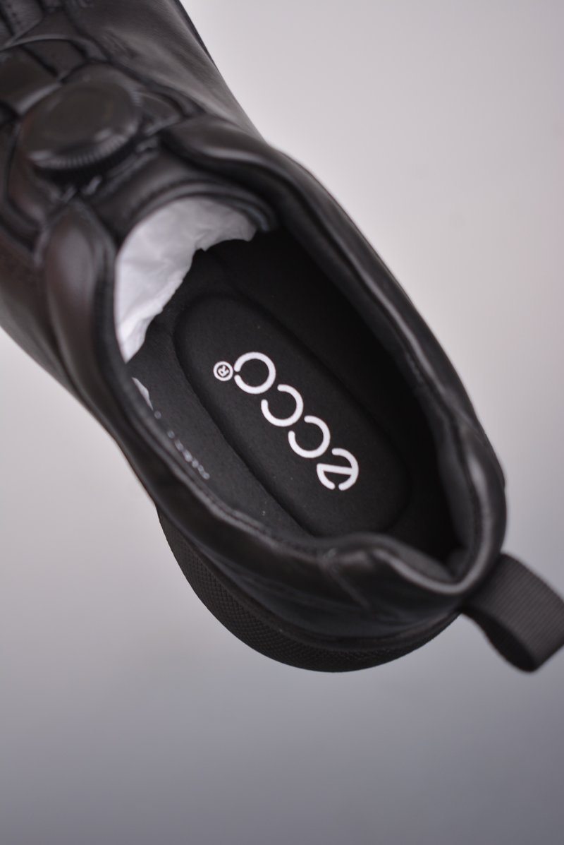 ECCO Biom C view