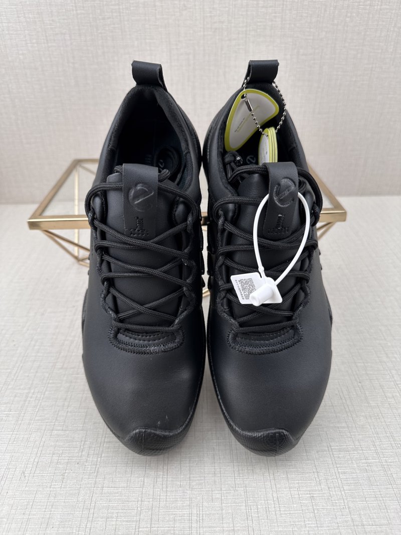 ECCO Biom E11 view