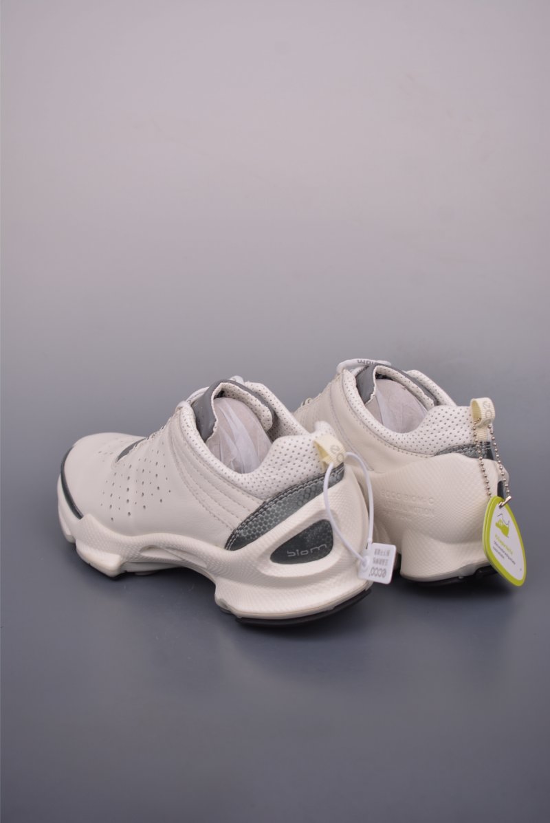 ECCO Biom Gore-Tex view