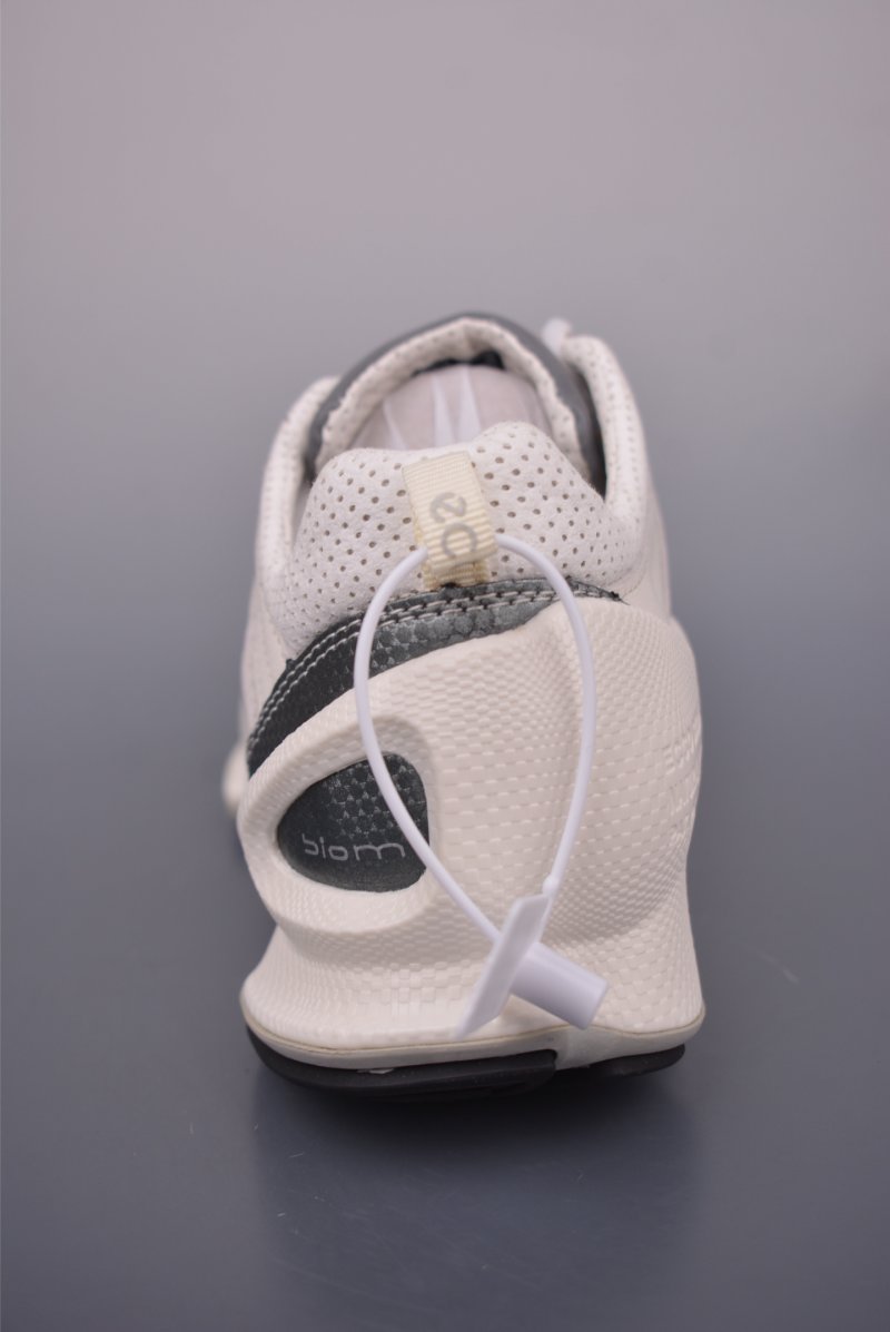 ECCO Biom Gore-Tex view