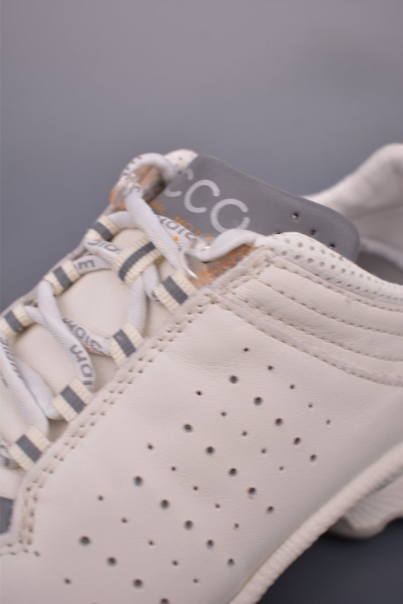 ECCO Biom Gore-Tex view