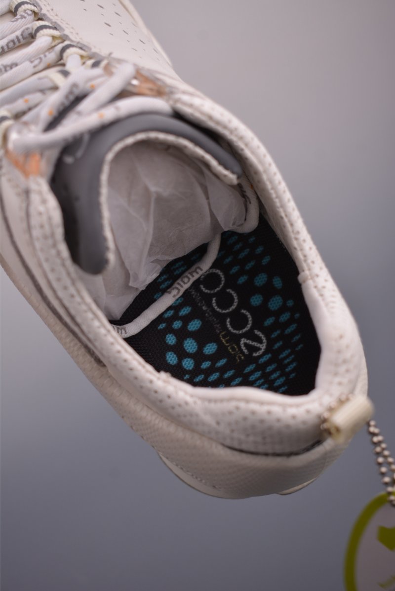 ECCO Biom Gore-Tex view