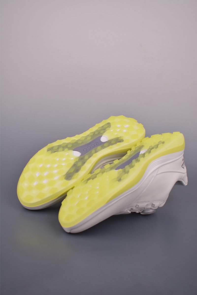 ECCO Biom Gore-Tex view