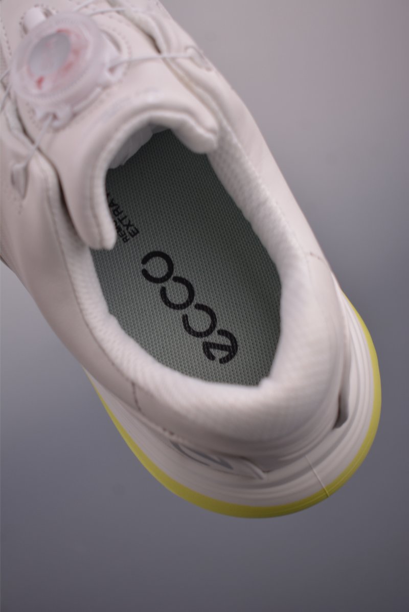 ECCO Biom Gore-Tex view