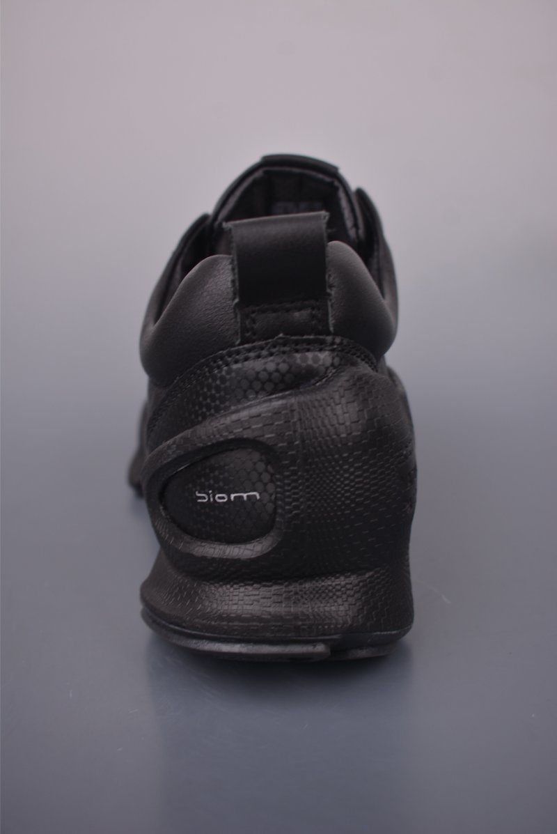 ECCO Biom Gore-Tex view