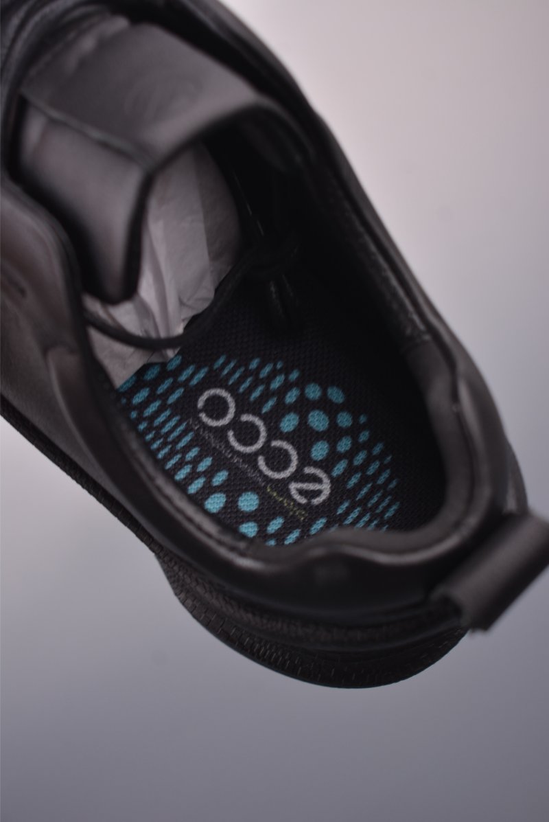 ECCO Biom Gore-Tex view