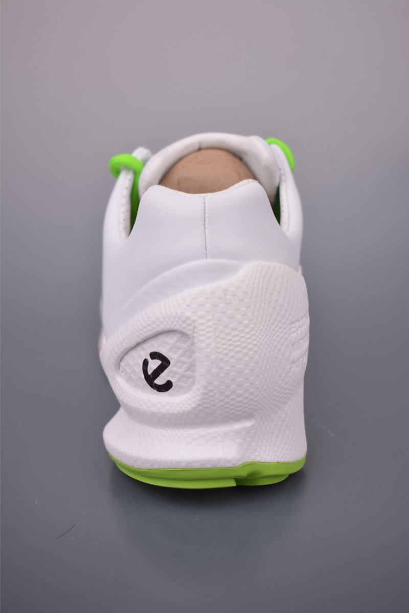 ECCO Biom Gore-Tex view