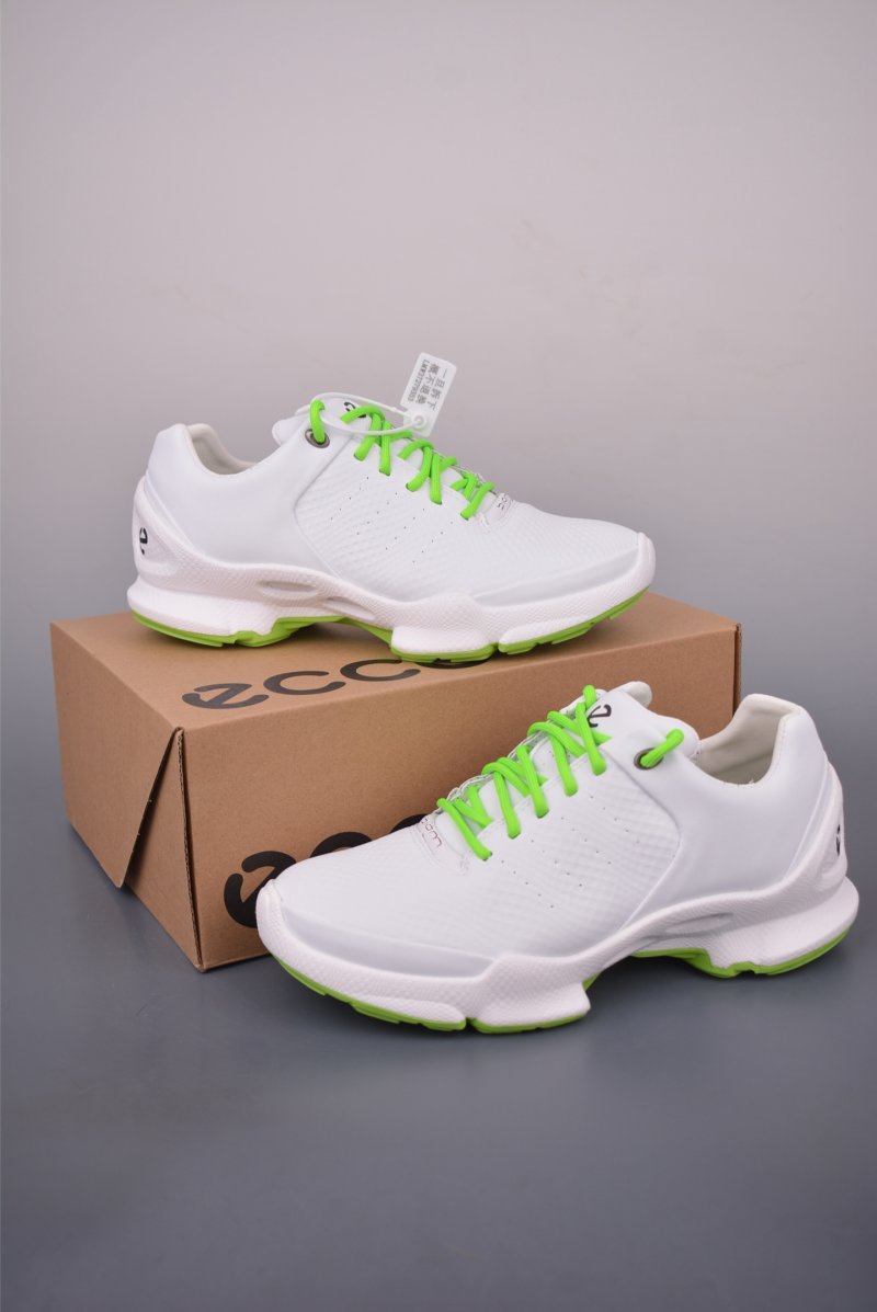 ECCO Biom Gore-Tex view