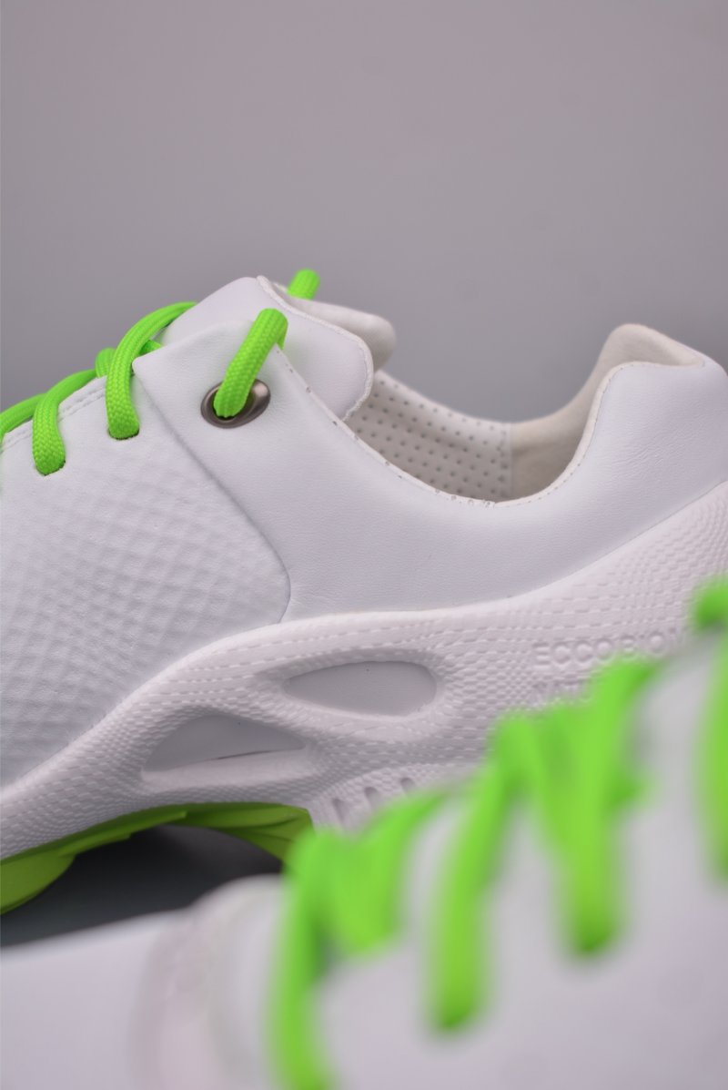ECCO Biom Gore-Tex view