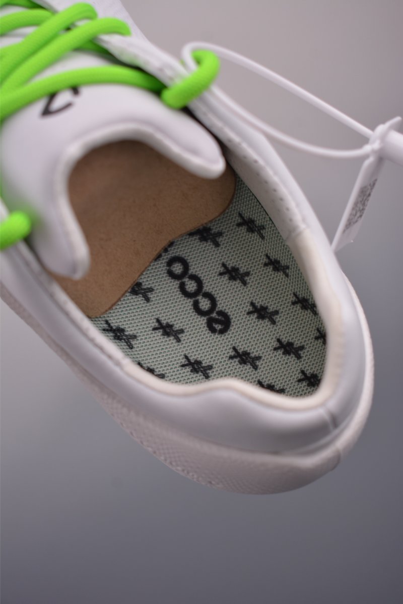 ECCO Biom Gore-Tex view