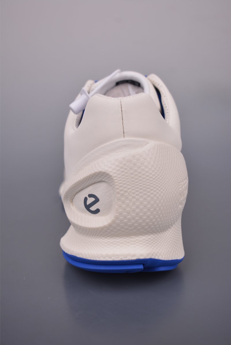 ECCO Biom Gore-Tex view