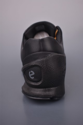 ECCO Biom Gore-Tex view 4