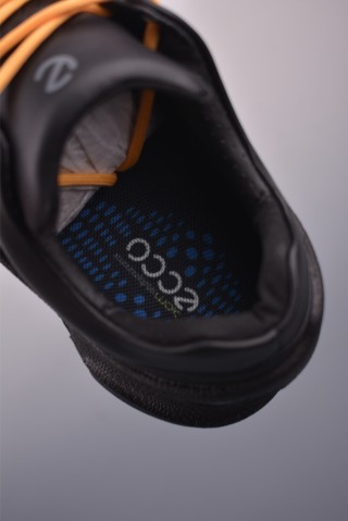 ECCO Biom Gore-Tex view 9