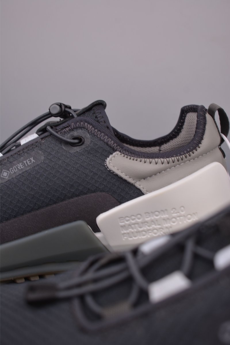 Ecco Biom Gore-Tex view