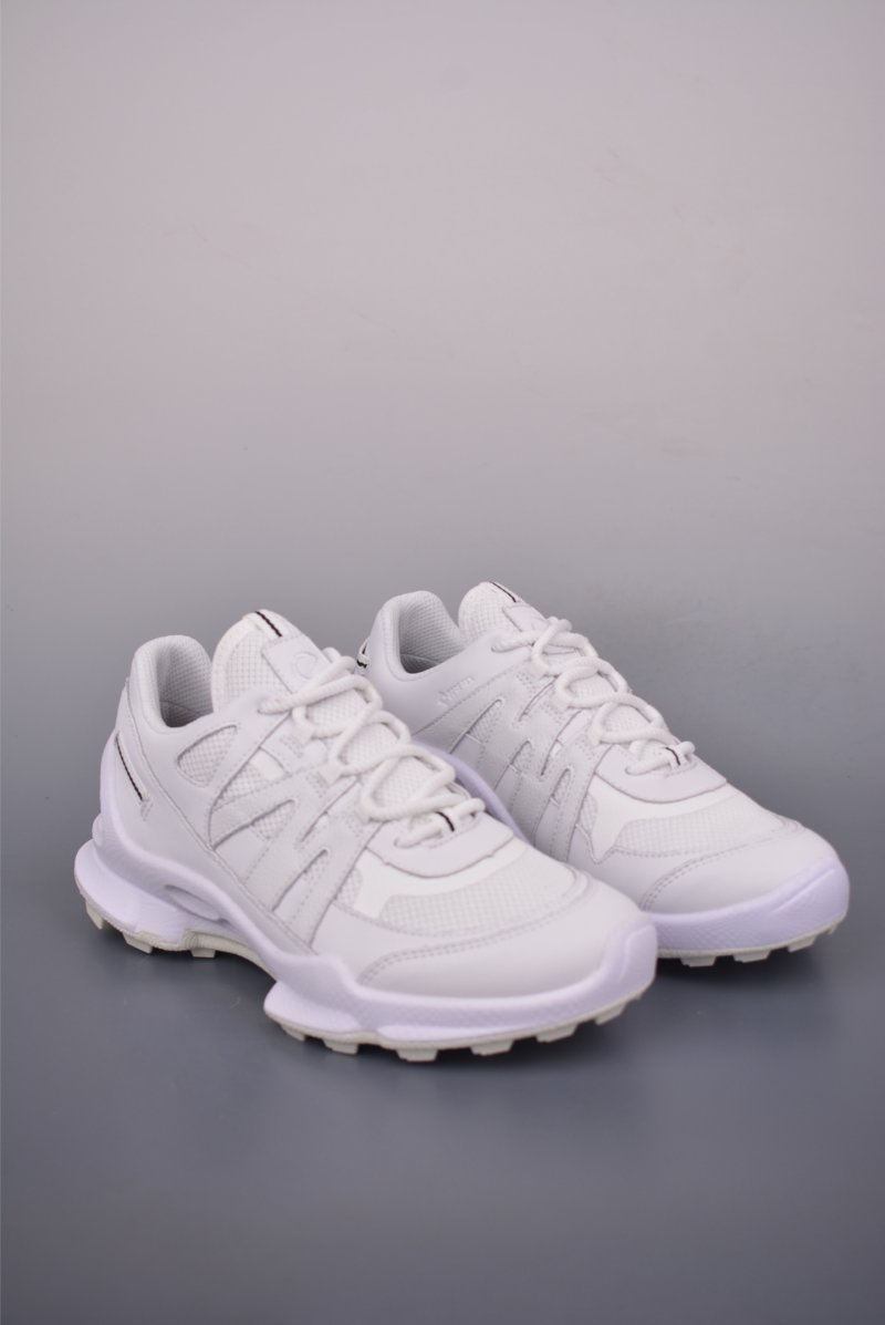 Ecco Biom Gore-Tex