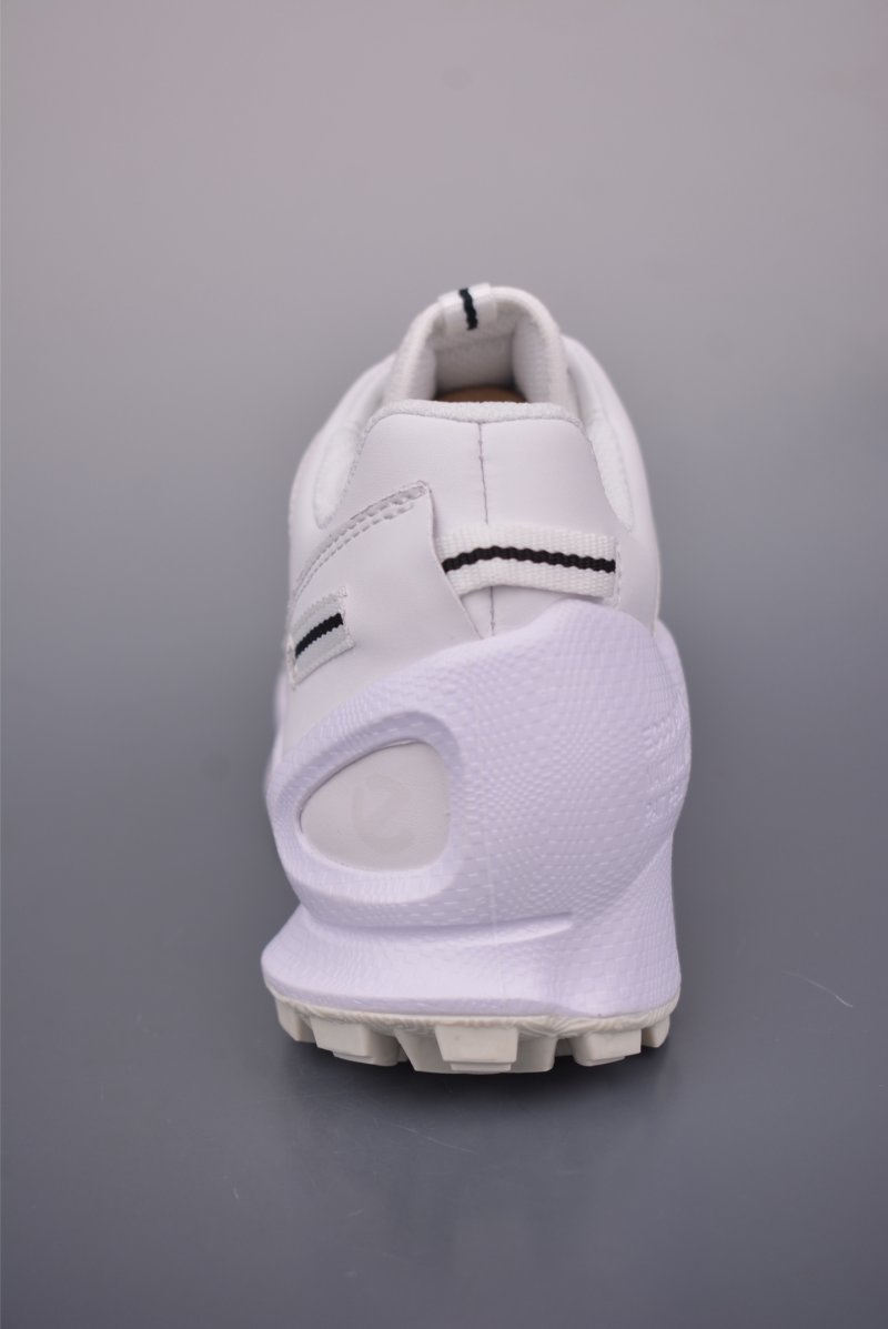 Ecco Biom Gore-Tex view