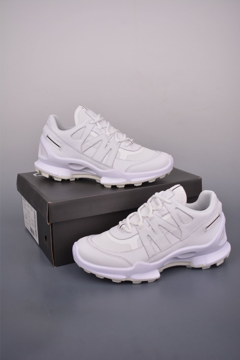Ecco Biom Gore-Tex view